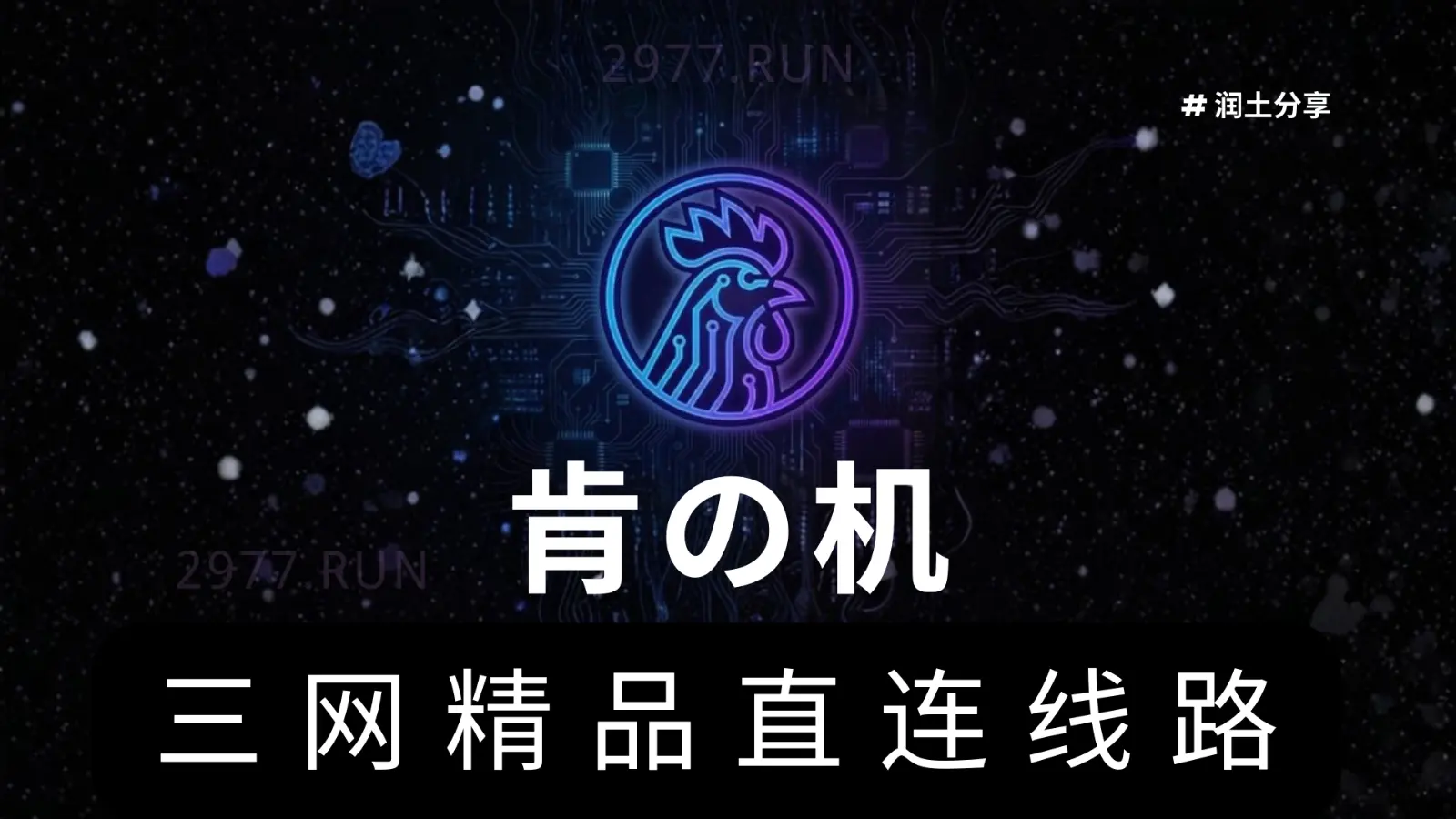 肯的机场 三网精品直连机场