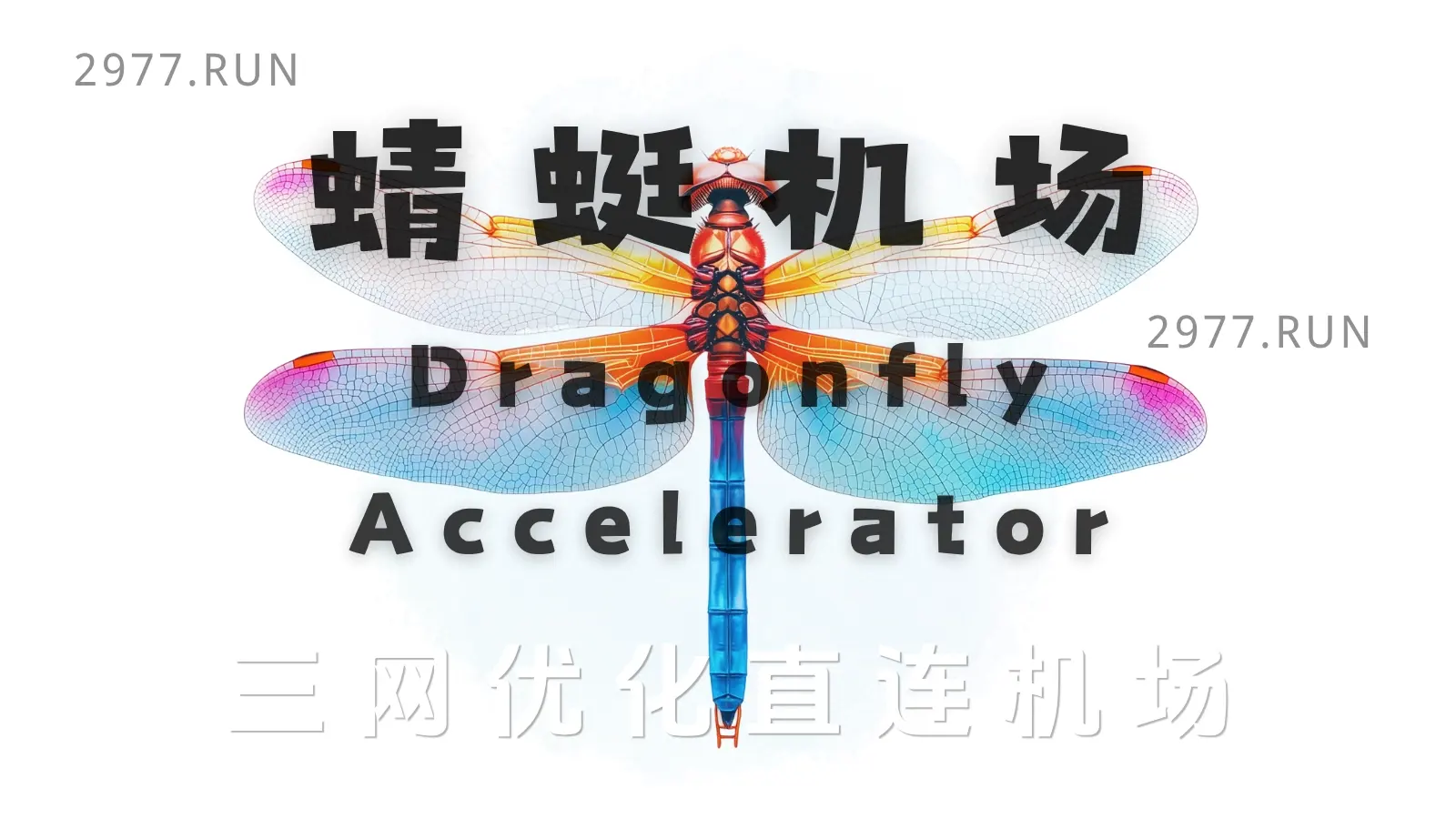 蜻蜓机场 优化直连加速